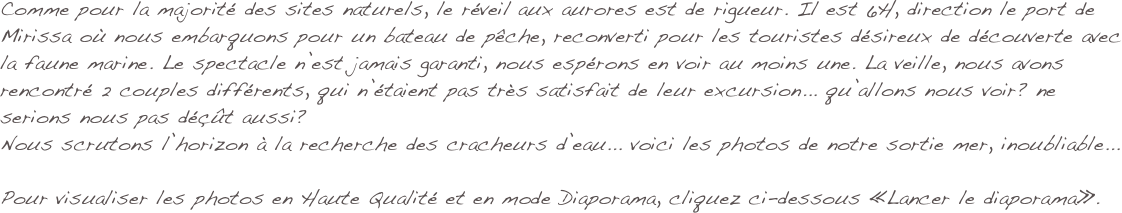 Comme pour la majorité des sites naturels, le réveil aux aurores est de rigueur. Il est 6H, direction le port de Mirissa où nous embarquons pour un bateau de pêche, reconverti pour les touristes désireux de découverte avec la faune marine. Le spectacle n’est jamais garanti, nous espérons en voir au moins une. La veille, nous avons rencontré 2 couples différents, qui n’étaient pas très satisfait de leur excursion... qu’allons nous voir? ne serions nous pas déçût aussi?
Nous scrutons l’horizon à la recherche des cracheurs d’eau... voici les photos de notre sortie mer, inoubliable...

Pour visualiser les photos en Haute Qualité et en mode Diaporama, cliquez ci-dessous «Lancer le diaporama».
