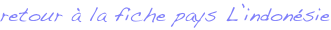 shapeimage_3_link_0