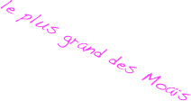 le plus grand des Moaïs