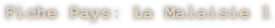 Fiche Pays: La Malaisie 1