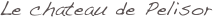 Le chateau de Pelisor