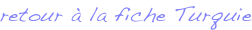 shapeimage_2_link_0