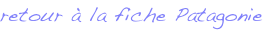 shapeimage_2_link_0