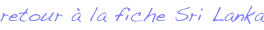 shapeimage_2_link_0