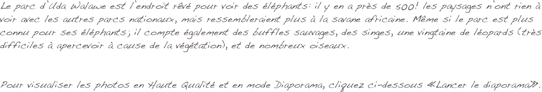 Le parc d’Uda Walawe est l’endroit rêvé pour voir des éléphants: il y en a près de 500! les paysages n’ont rien à voir avec les autres parcs nationaux, mais ressembleraient plus à la savane africaine. Même si le parc est plus connu pour ses éléphants; il compte également des buffles sauvages, des singes, une vingtaine de léopards (très difficiles à apercevoir à cause de la végétation), et de nombreux oiseaux. 


Pour visualiser les photos en Haute Qualité et en mode Diaporama, cliquez ci-dessous «Lancer le diaporama».
